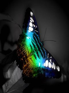 Other Wallpapers 0901